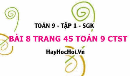 Bài 8 trang 45 Toán 9 tập 1 Chân trời sáng tạo